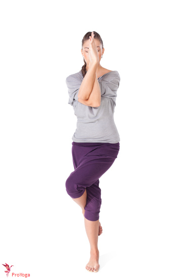adelaar / garudasana