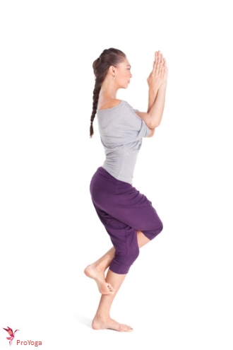 adelaar / garuḍāsana