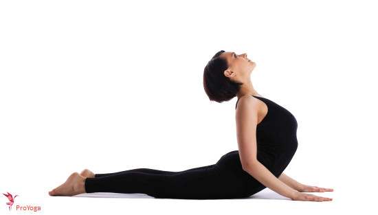 cobra / bhujangasana