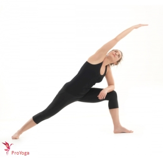 gedraaide zijwaartse hoek - variant / utthita parsvakonasana