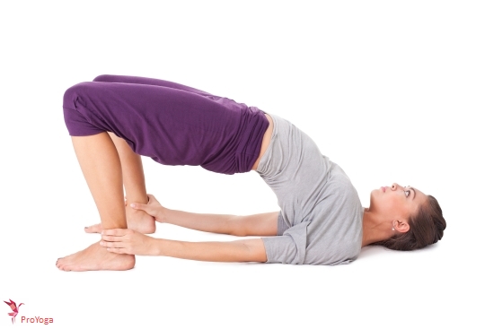 brug / setu bandha sarvangasana