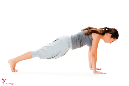 hoge plank / kumbhakasana