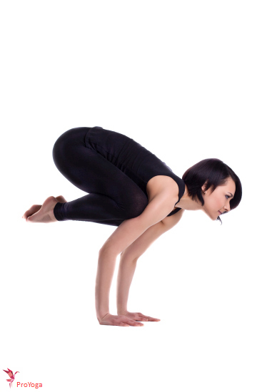 kraanvogel / bakasana