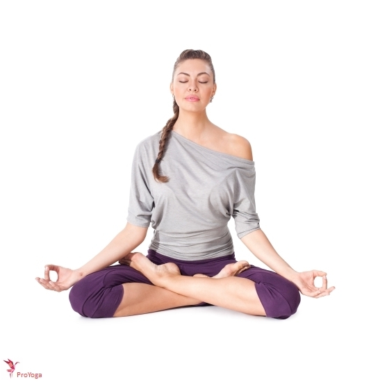lotus / padmasana