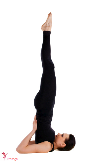 ondersteunde schouderstand / salamba sarvangasana