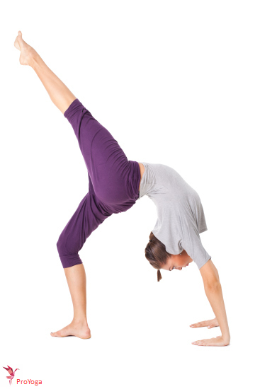 opwaartse boog met gestrekt been / eka pada urdhva dhanurasana