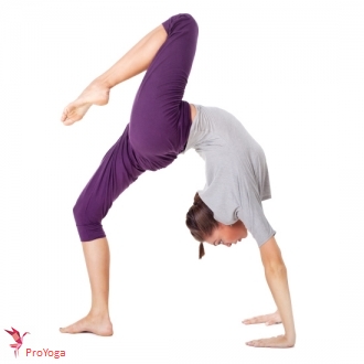 opwaartse boog met opgetrokken been / eka pada urdhva dhanurasana