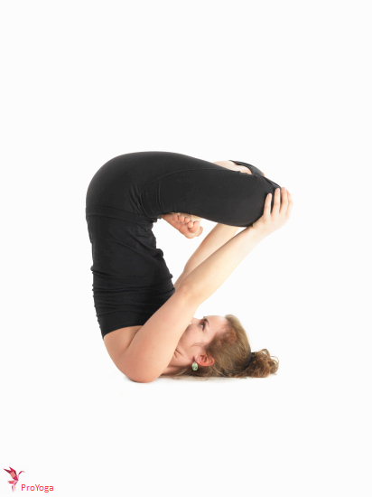 opwaartse lotus / urdhva padmasana