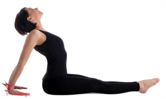 stafhouding / dandasana