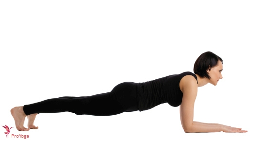 lage plank / kumbhakasana