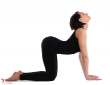 koe / bidalasana