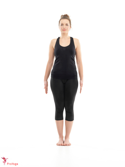 berg / tāḍāsana