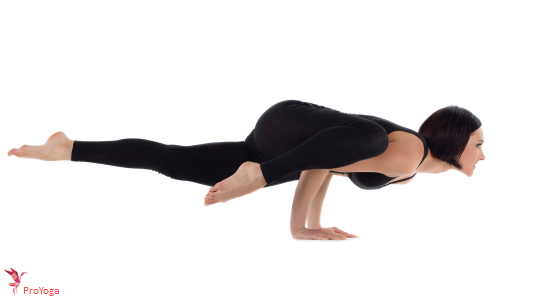 eenbenige kraanvogel I / eka pada bakasana I