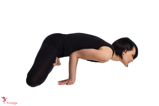 pauw / mayurasana